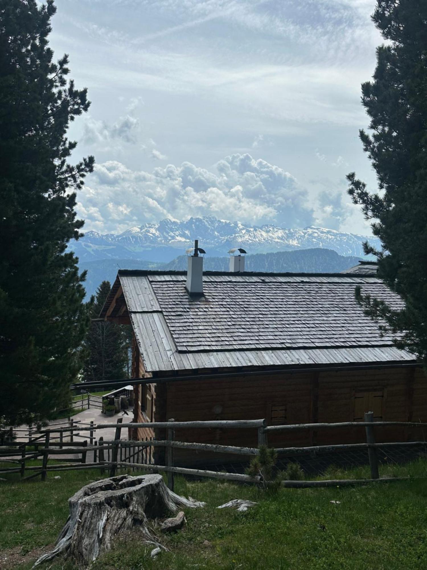 Chalet Da Mont Resciesa Ортизеи Экстерьер фото